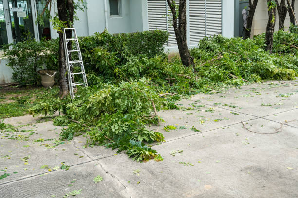 Best Lawn Pest Prevention  in The College Of New Jersey, NJ