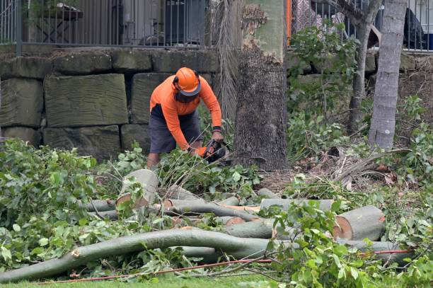 Best Emergency Tree Removal  in The College Of New Jersey, NJ