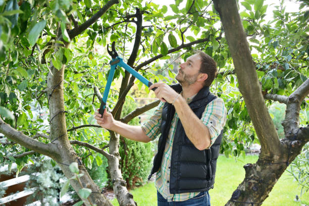 Best Arborist Consultation Services  in The College Of New Jersey, NJ
